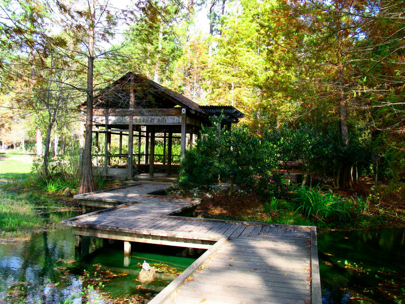 �����Թ�ϵ(�����Թ�ϵ��ʲô��˼)