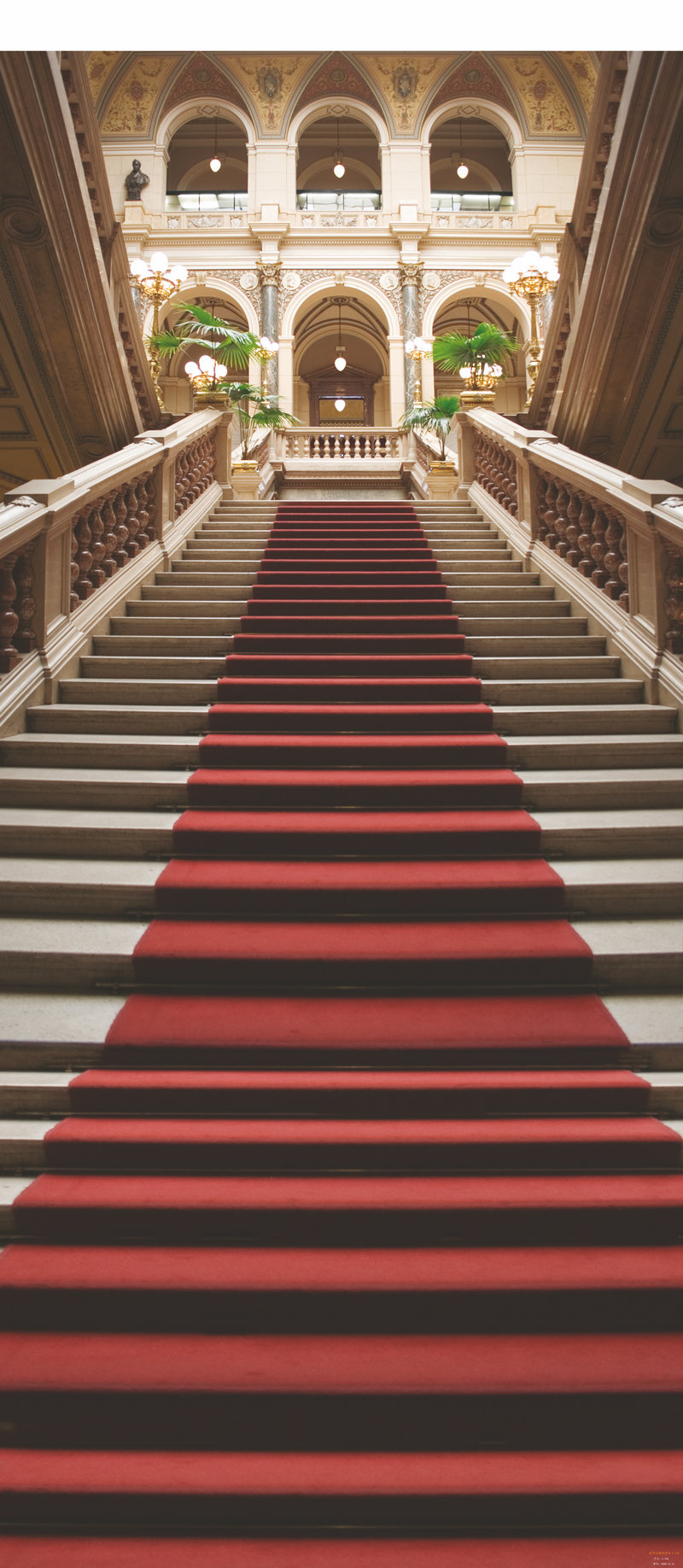 ³ɽɽ������