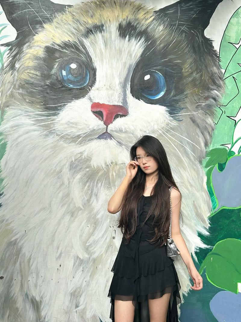 �����ո������ϼ�����