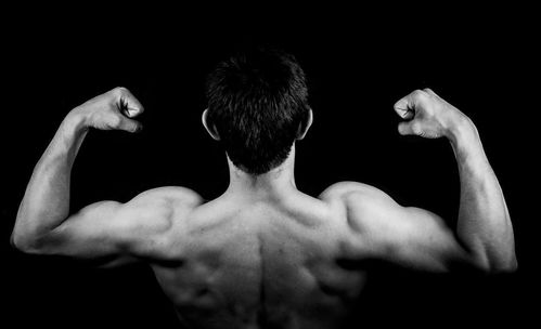 �����޲� �����޲��ڲ�������