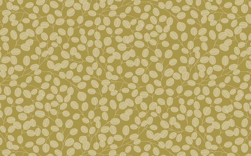 mac�ں���ʲô����